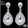 aretes JANI