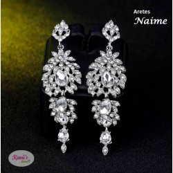 aretes NAIME