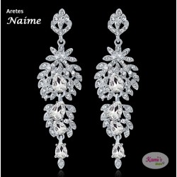 aretes NAIME