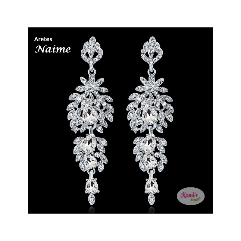 aretes NAIME