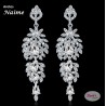 aretes NAIME