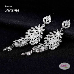 aretes NAIME