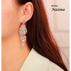 aretes NAIME