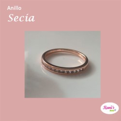 anillo CESIA